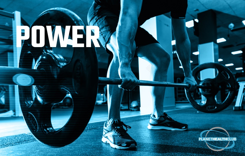 Powerlifting Barbell VS. Regional Barbell: Which One is Good | DMoose